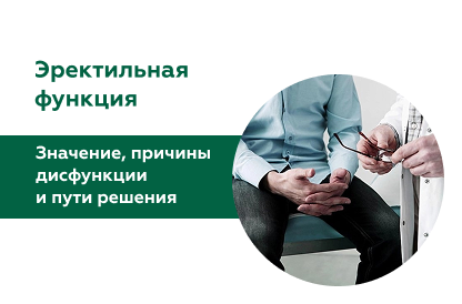 Эректильная функция: роль, причины дисфункции и методы восстановления